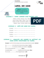 Pluriels Des Noms CE1 CE2 CM1 CM2 PDF