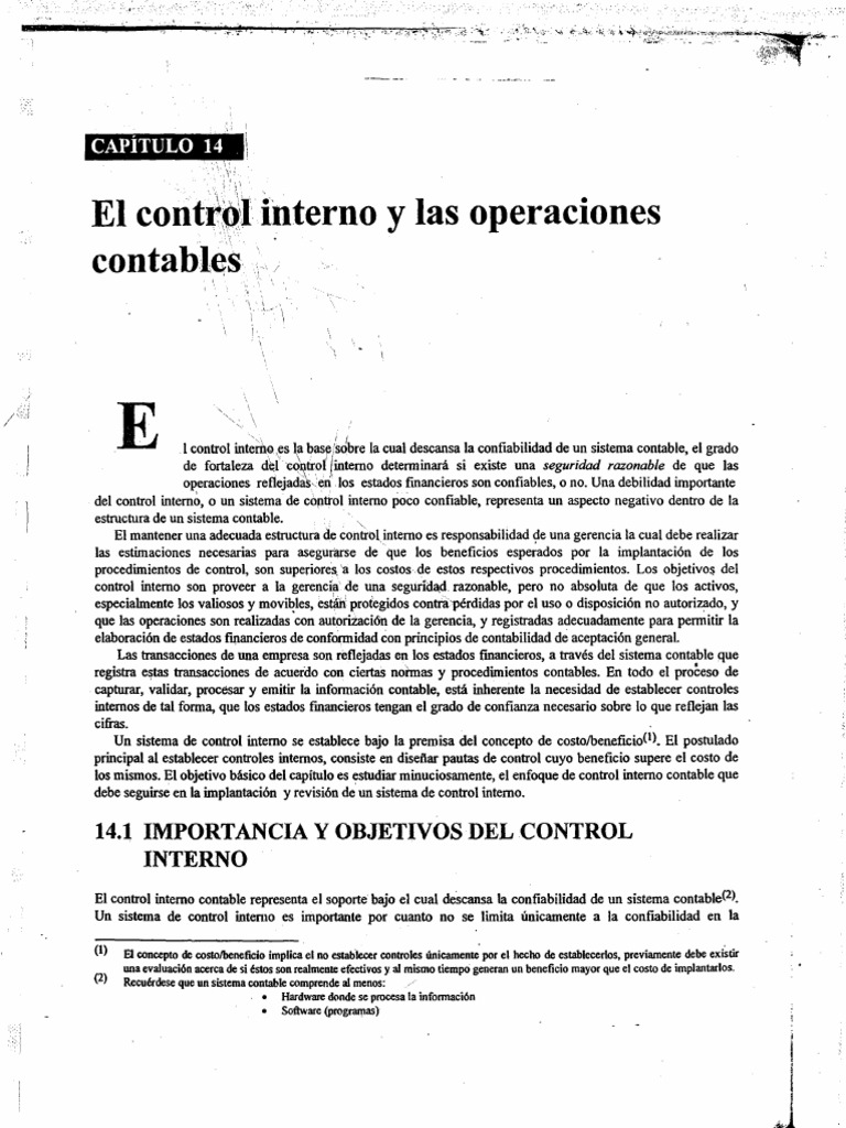 El Control Interno y Las Operaciones Contables Cap 14 Catacora | PDF