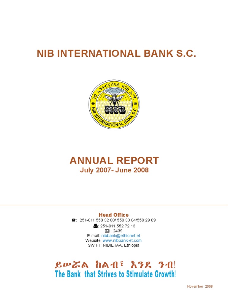 NIB International Bank Annual Report 2008 | PDF | Audit | Financial ...