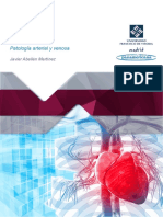 T14 Patología arterial y venosa(2).pdf
