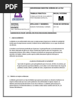 UNIVERSIDAD NUESTRA SEÑORA DE LA PA2