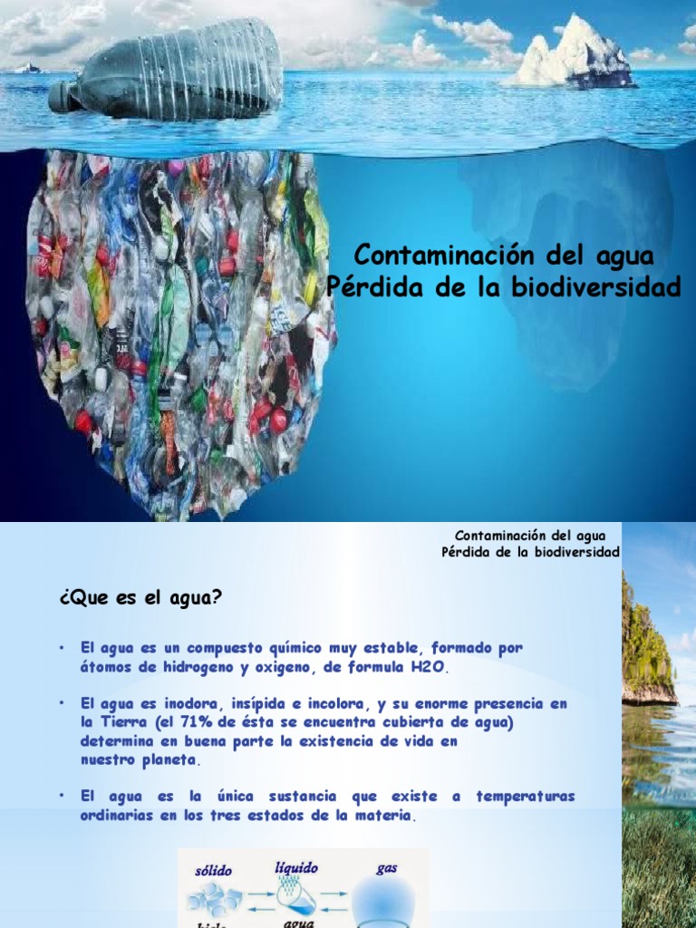Contaminación del agua y biodiversidad | PDF | La contaminación del ...