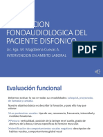 Valoracion Flgca Al PX Disfonico