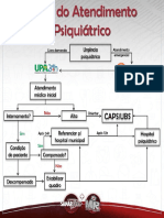 FluxogramacomTemplateAtendimentopsiquitrico 1523796875597 1571462567 PDF