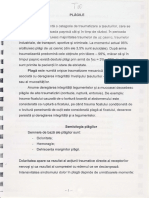 T10.Plagile.pdf
