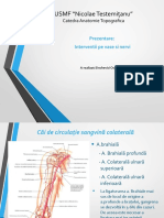 Cai de Circulatie Colaterala