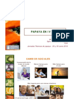 PapayaIVGama PDF