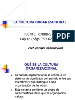 cultura organizacional (1).pdf