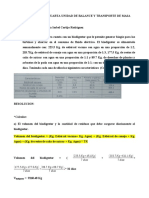 EXAMEN BALANCE MASA BIODIGESTOR