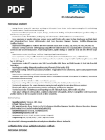 Elizabeth ETL Resume