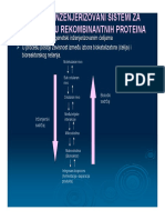 Sistemi Za Proizvodnju Rekombinantnih Proteina I Genetska Nestabilnost