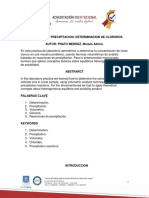 Informe Volumetria de Precipitacion PDF