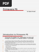 Primavera P6: by Biplab Mondal