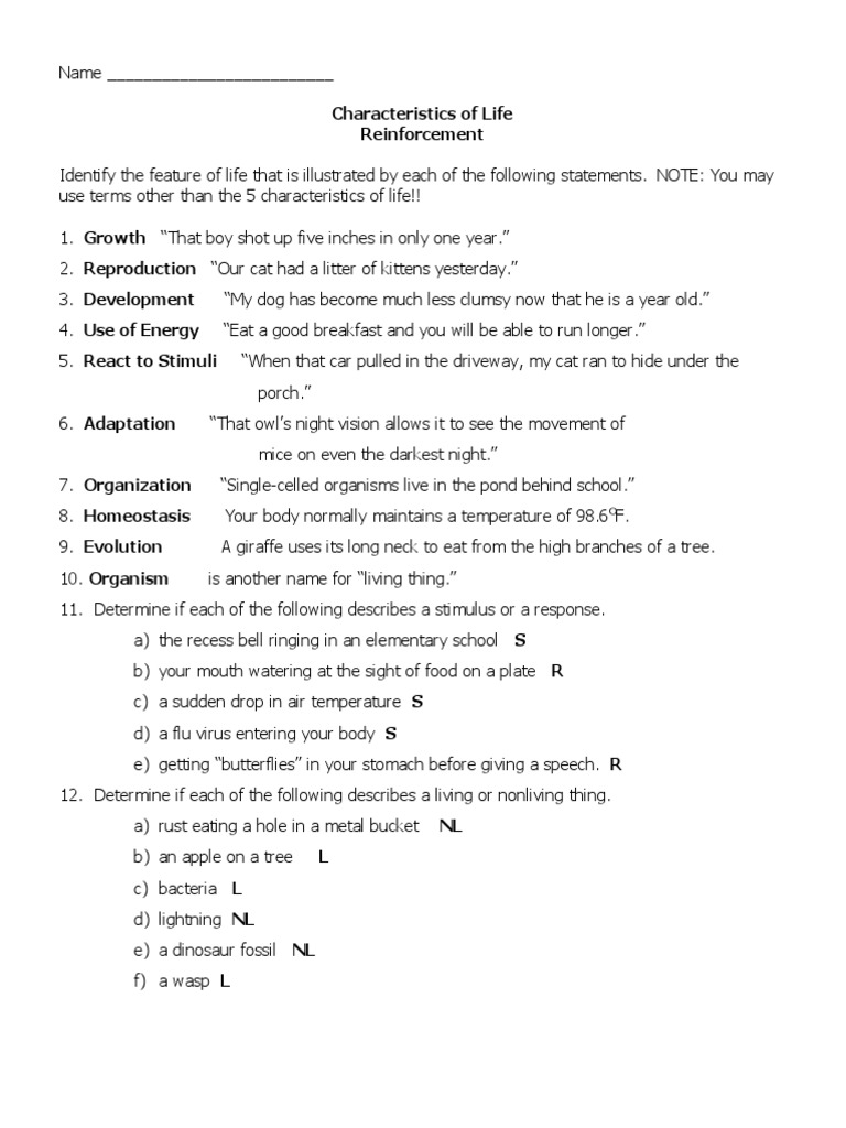 Characteristics of Life Worksheet Answers PDF Cats Life