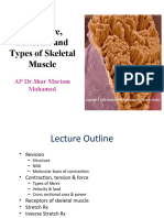 Skeletal Muscles and Excercise Physiology