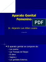 Aparato Genital Femenino: Ovarios, Trompas, Útero y Vagina