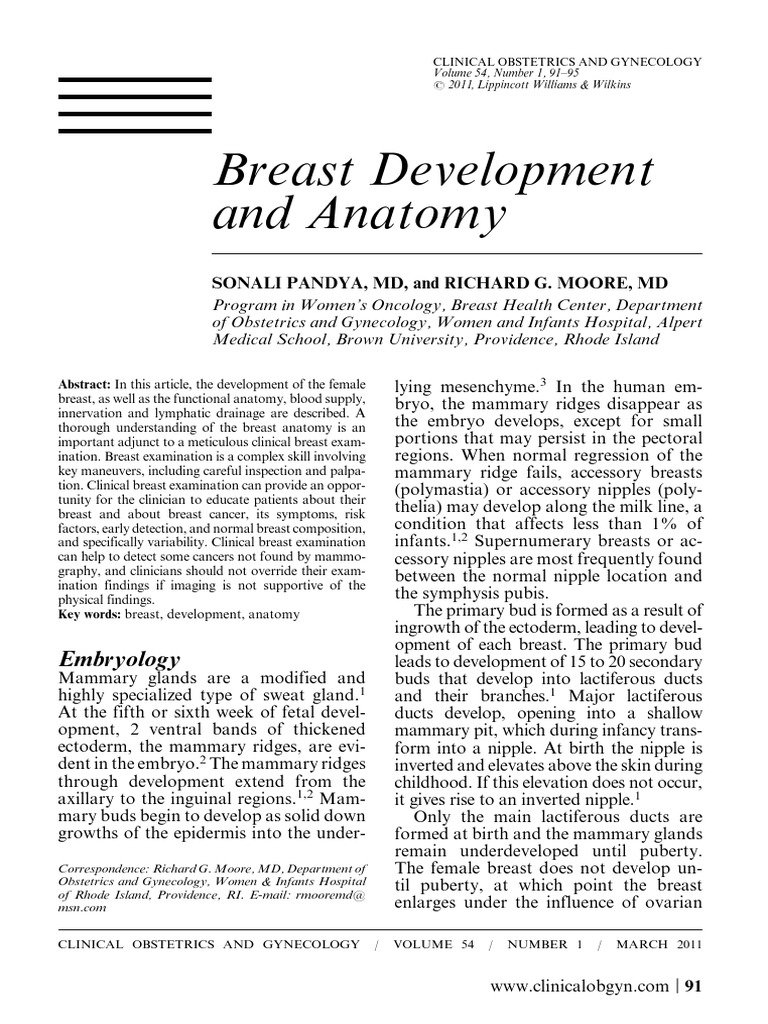 The Breasts - Structure - Vasculature - TeachMeAnatomy