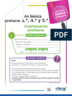 Cuadernillo-Cuestionariosauxiliares-3-1.pdf