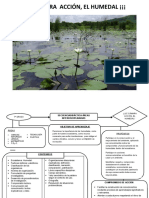 Humedales, ecosistema vital