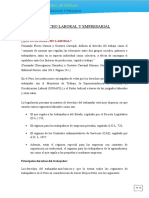 Articulos Del Derecho Laboral y Empresarial Peru