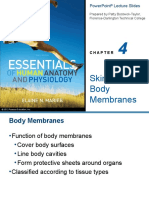 CH - 04 Skin and Body Membrane