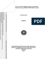 C11pat PDF