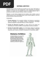 SISTEMA LINFATICO