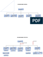 Organigrama Proyecto Empresarial