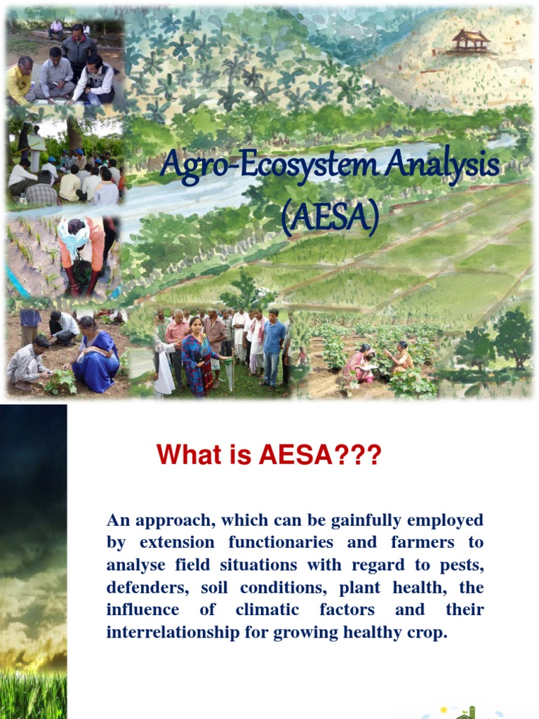 Agro Ecosystem Analysis Pdf Agroecology Natural Environment