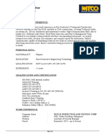 11-year NDT expert resume