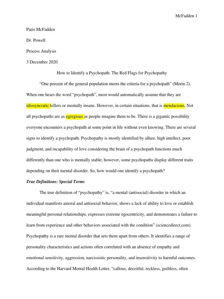 Process Analysis Draft 3 - Pa | PDF
