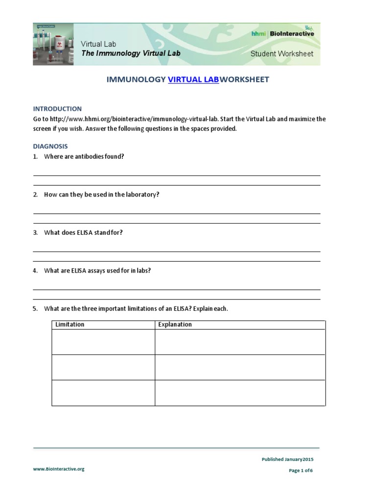 Immunology Worksheet Virtual Lab PDF Elisa Diseases And Disorders
