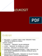 LEUKOSIT.pdf