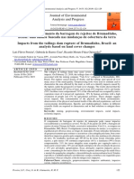 Pereira (2019) PDF
