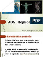 02 DNA Replication v1.0 PDF