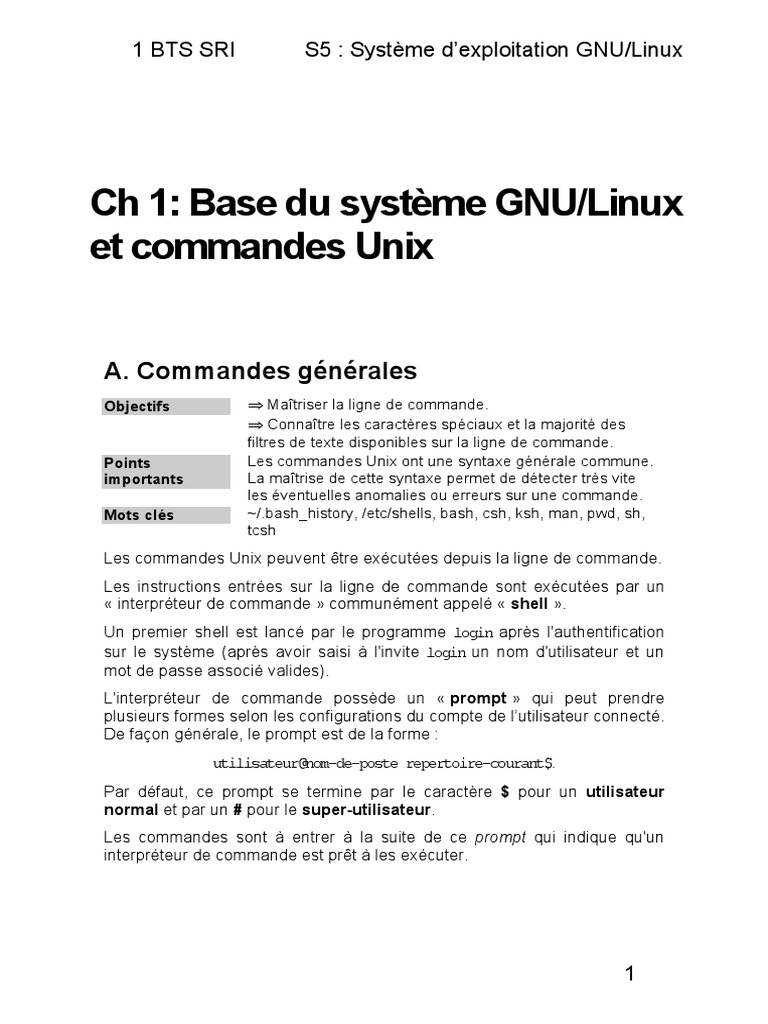 Commandes de base Unix et GNU/Linux | PDF | Interface en ligne de ...