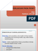 Perlakuan Pada Pedet