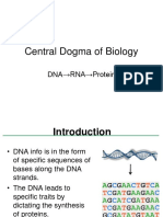 Central Dogma of Biology: DNA RNA Protein
