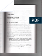 Tejidos XMC PDF