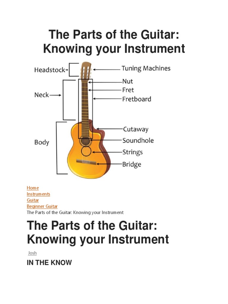 Learning The Parts of The Guitar PDF Guitars Chordophones