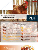 Pencegahan Penyakit Ayam Petelur - Kelompok 4