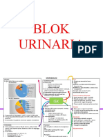 Blok Urinaria