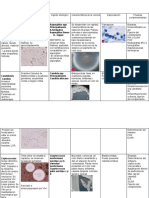 Micosis: Características de colonias, esporulación y pruebas complementarias