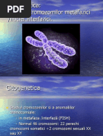 analiza cromozomilor