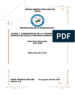 CAUSAS Y CONSECUENCIAS DE LA CONTAMINACIÓN EN EL MUNICIPIO DE CASTILLO