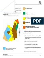 Elección de Especie para Reforestar