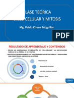 Meiosis y Ciclo Celular