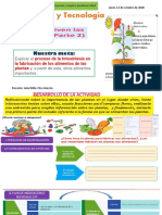 S28dia 1 Ciencia y Tec - de Que Se Alimentan Las Plantas 12-10-20