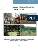 Estado de Situación Del Sector Forestal en Patagonia Sur 2016