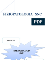 Fiziopatologia SNC 2